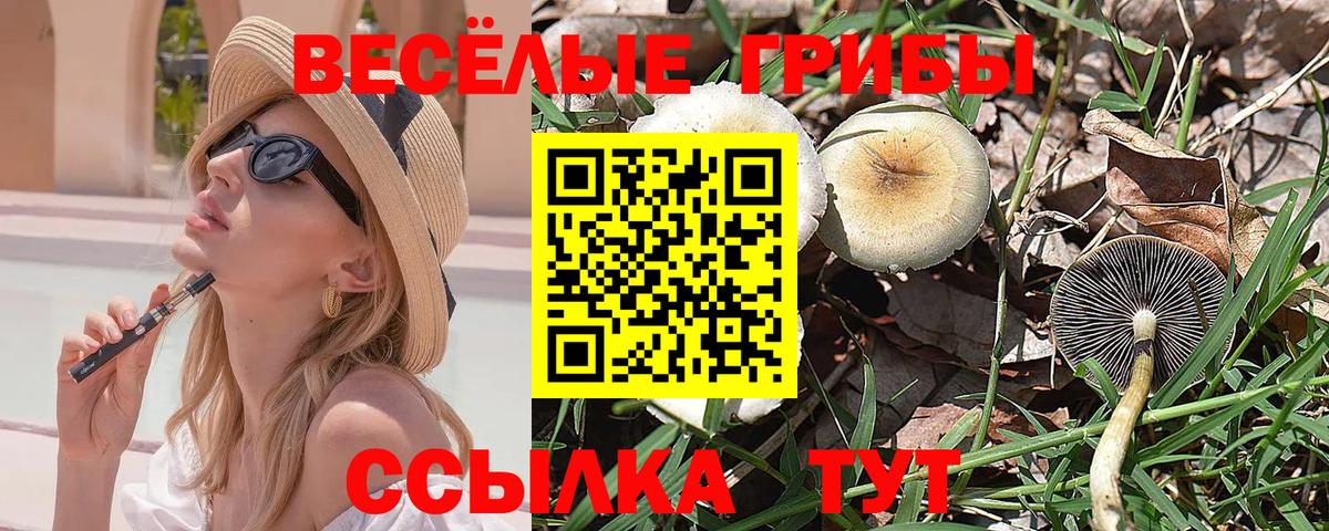 Псилоцибиновые грибы GOLDEN TEACHER Старая Купавна